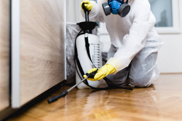 Best Commercial Pest Control Services  in Chetek, WI