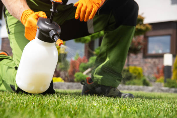 Reliable Chetek, WI Pest Control Solutions