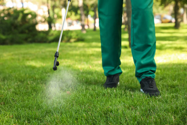 Best Wildlife Control Services  in Chetek, WI
