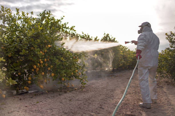 Best Emergency Pest Control  in Chetek, WI
