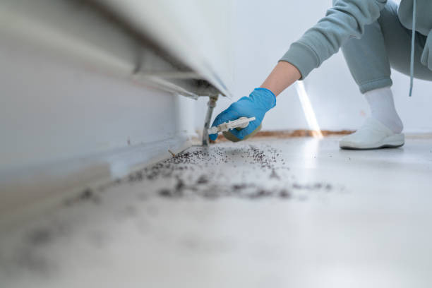 Best Pest Control for Businesses  in Chetek, WI